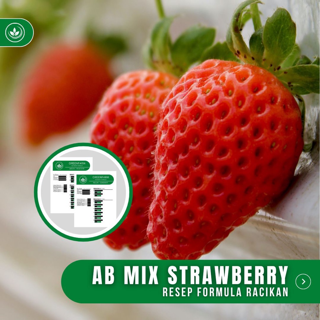 Jual Resep AB Mix Strawberry Formula Dual Racikan Nutrisi AB Mix Buah ...