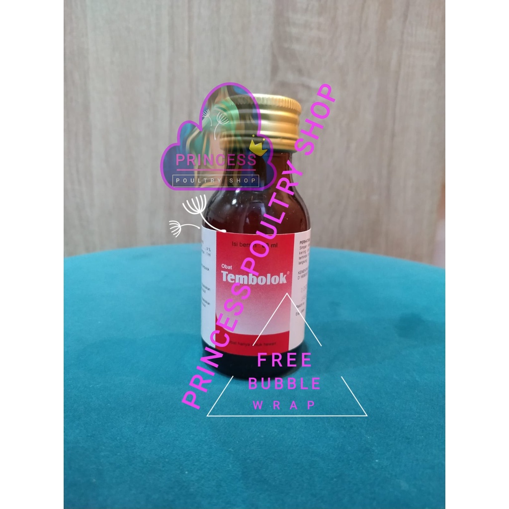 Jual Pencernaan Ayam Terlengkap & Harga Terbaru Juni 2026 | Shopee ...