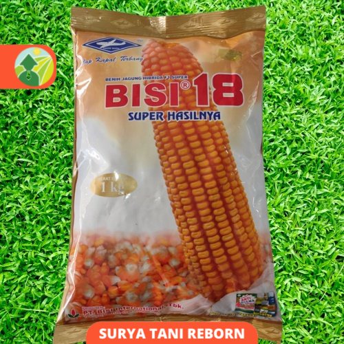 Jual BENIH LANGKA!! Benih Jagung Hibrida Bisi 18 1Kg Cap Kapal Terbang ...