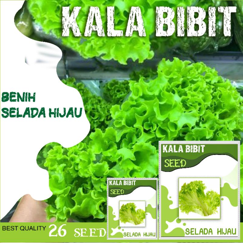 Produk Kalaunique Shop | Shopee Indonesia