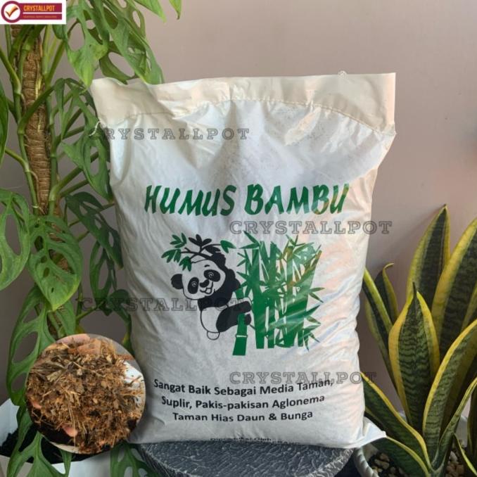 Jual [Ready] Media Tanam Humus Bambu Untuk Aglonema Dan Tanaman Hias ...