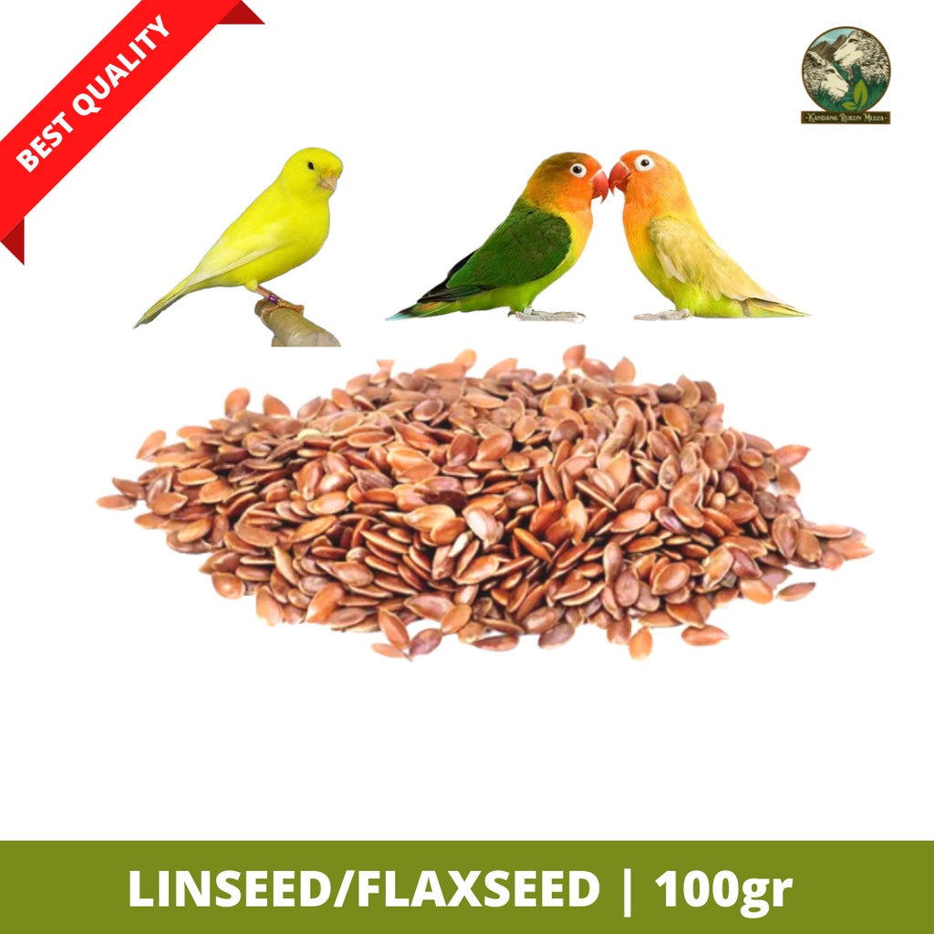 Jual LINSEED FLAXSEED 100gr Pakan Burung Nutrisi Tinggi Terbaik Untuk