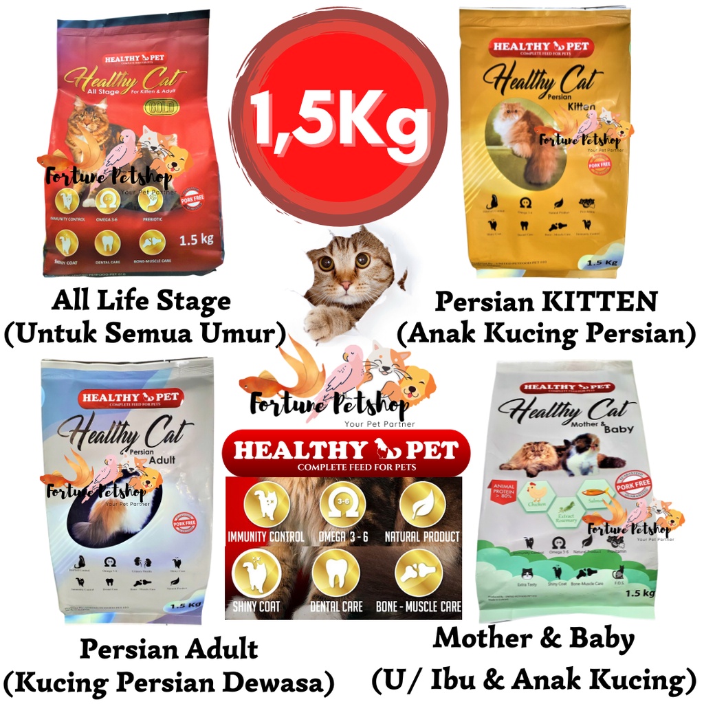 Jual Healthy All Life Stage , Persian KITTEN , Persian ADULT , Mother