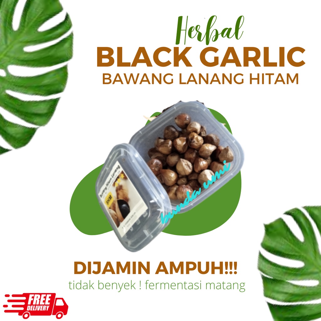 Jual Black Garlic 250 Gram Bawang Hitam Tunggal Lanang BHM Murah ...