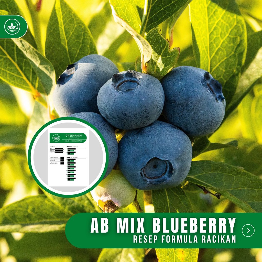 Jual Resep AB Mix Blueberry Formula Racikan Nutrisi Pupuk Buah ...