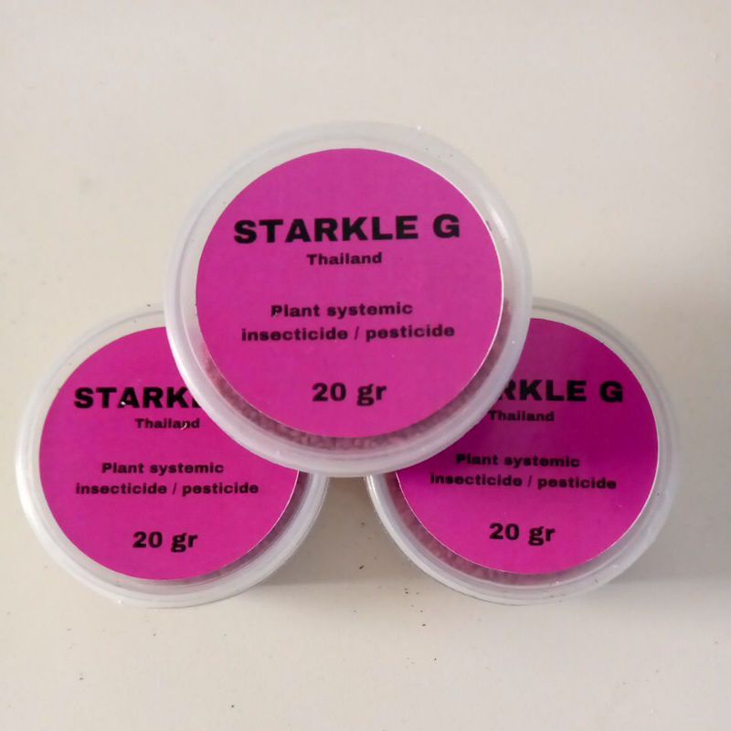 Jual stakle g thailand original | Shopee Indonesia