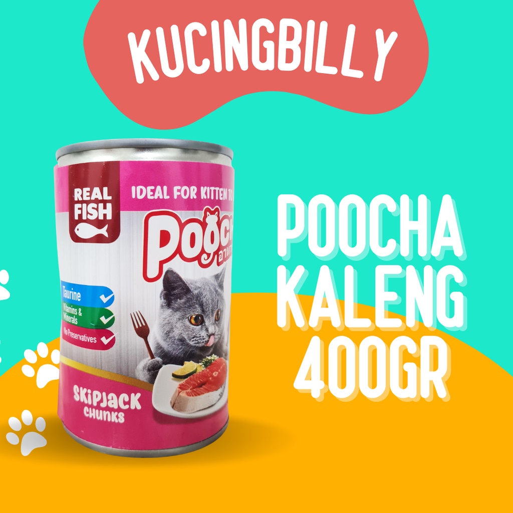 Jual Poocha 400gr makanan kaleng kucing | Shopee Indonesia