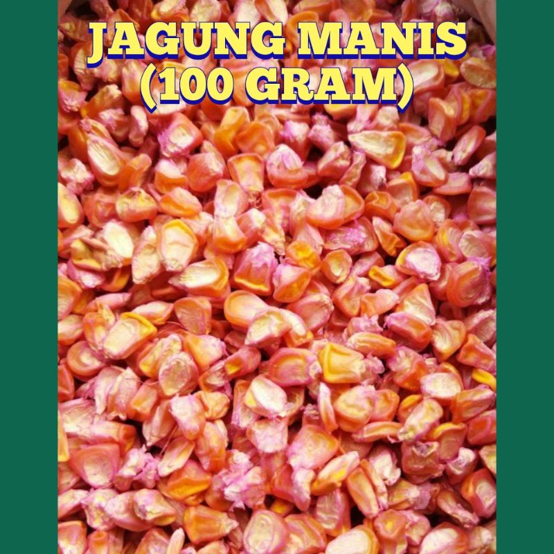 Jual Benih/biji Jagung Manis Unggul(100 Gram) | Shopee Indonesia