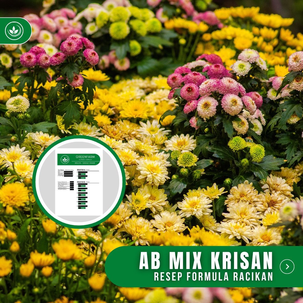 Jual Resep AB Mix Bunga Krisan Formula Racikan Nutrisi Bunga Krisan ...