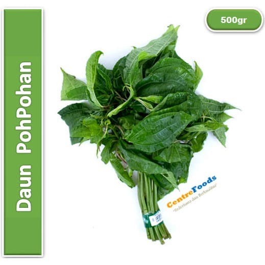 Jual Daun Popohan Pohpohan Fresh 500gr [ Harga Per 0 5 Kg