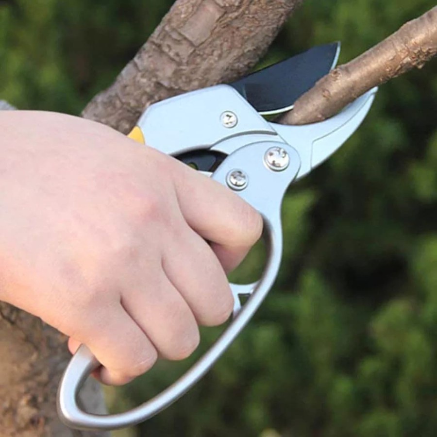 Jual Gunting Pruning Dahan Ranting Tanaman Pucuk Merah Bahan Besi High ...
