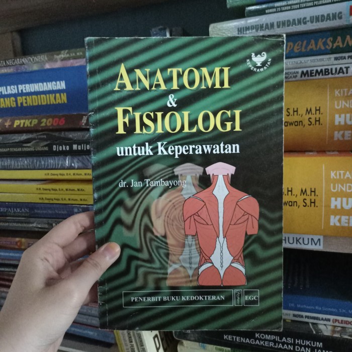 Jual Buku Anatomi And Fisiologi Untuk Keperawatan Jan Tambayong Original