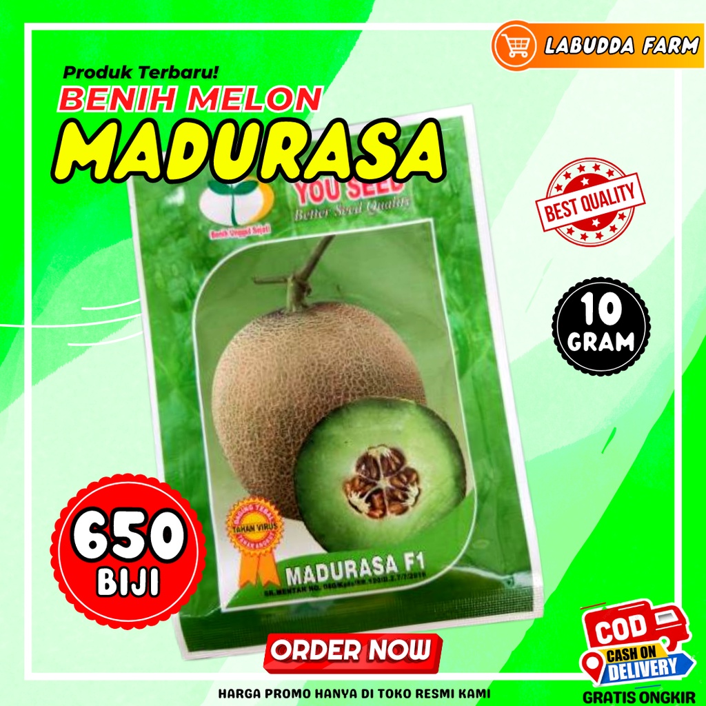 Jual Benih Melon Madurasa F1 Bibit Melon Madu Rasa Hibrida Tahan Virus ...