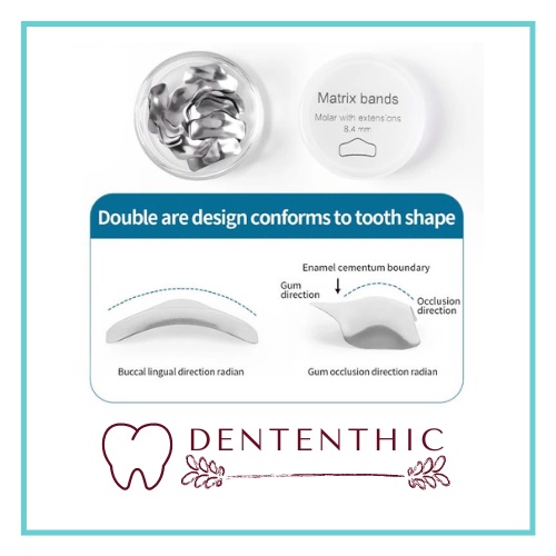 Jual Dental Matriks / Dental sectional matrix band contoured ginjal ...