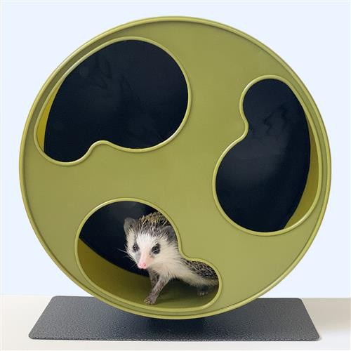 Jual EXOTIC NUTRITION SILENT RUNNER WHEEL JOGGING WHEELS HAMSTER