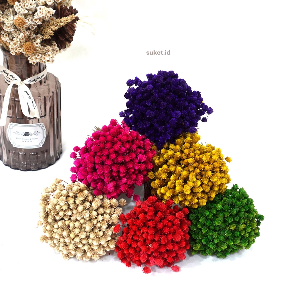 Jual Bunga Kering Pentolan (bahan bunga buket/ hiasan mahar) | Shopee ...