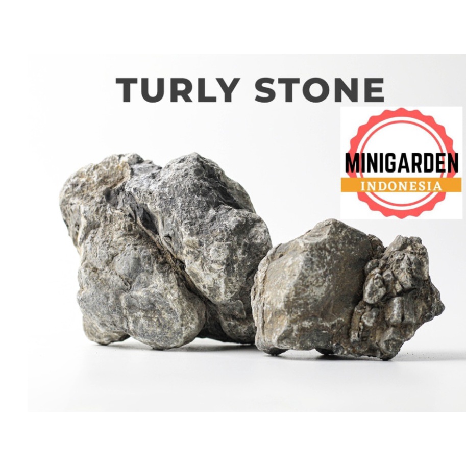 Jual BATU TURLI ECER 1KG batu aquascape turly stone batu hias dekorasi ...