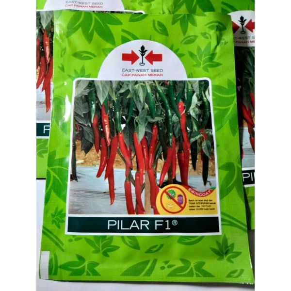 Jual Benih Cabai Besar Pilar F1 10 Gram Shopee Indonesia