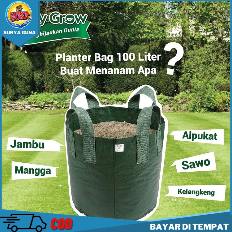 Jual PLANTERBAG EASY GROW PLANTER BAG TANAMAN AWET 50 LITER - Kab. Blitar -  Mulya Tani 1