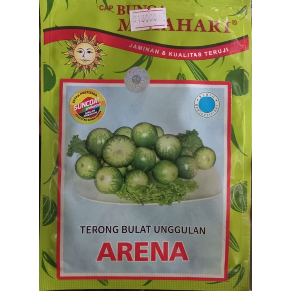 Jual TERONG ARENA BENIH TERONG LALAP BULAT ARENA CAP BUNGA MATAHARI ...