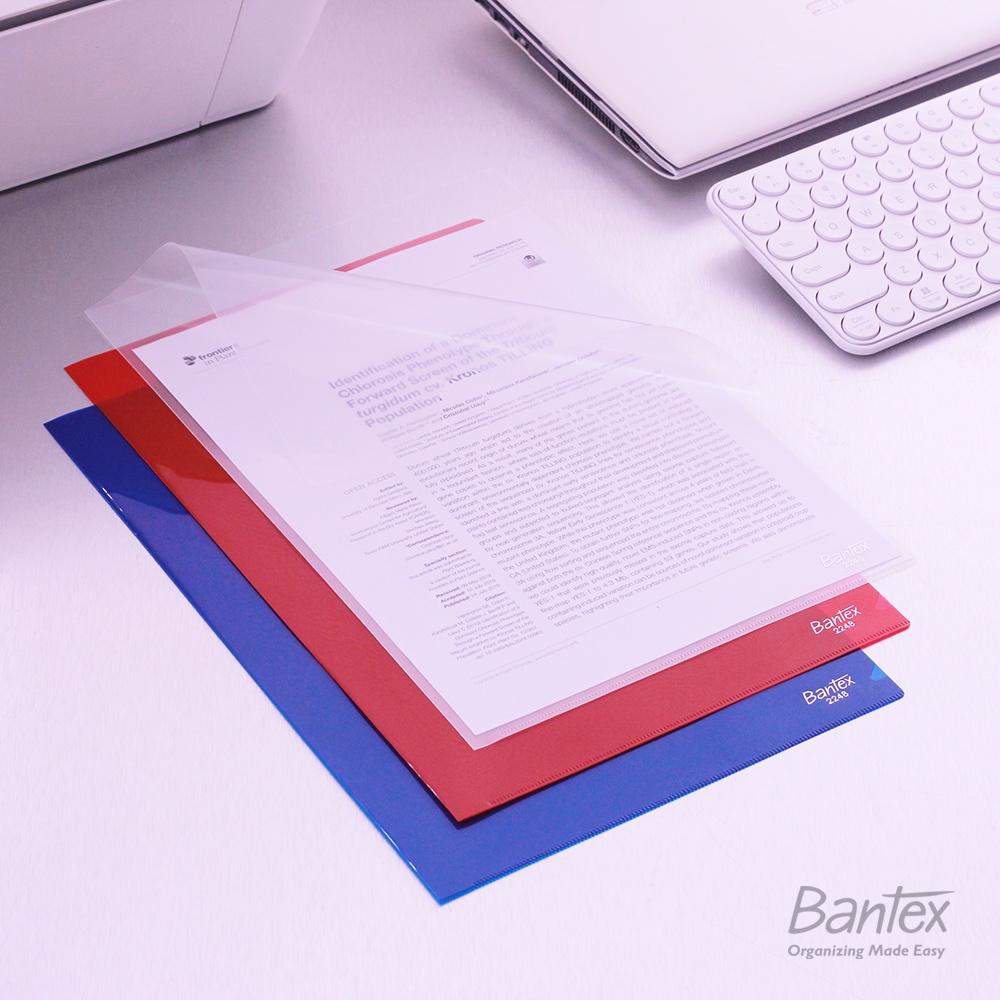 Map L Plastik Bening Clear Sleeve L Folder Folio F4 Blue 2248 01G (4)