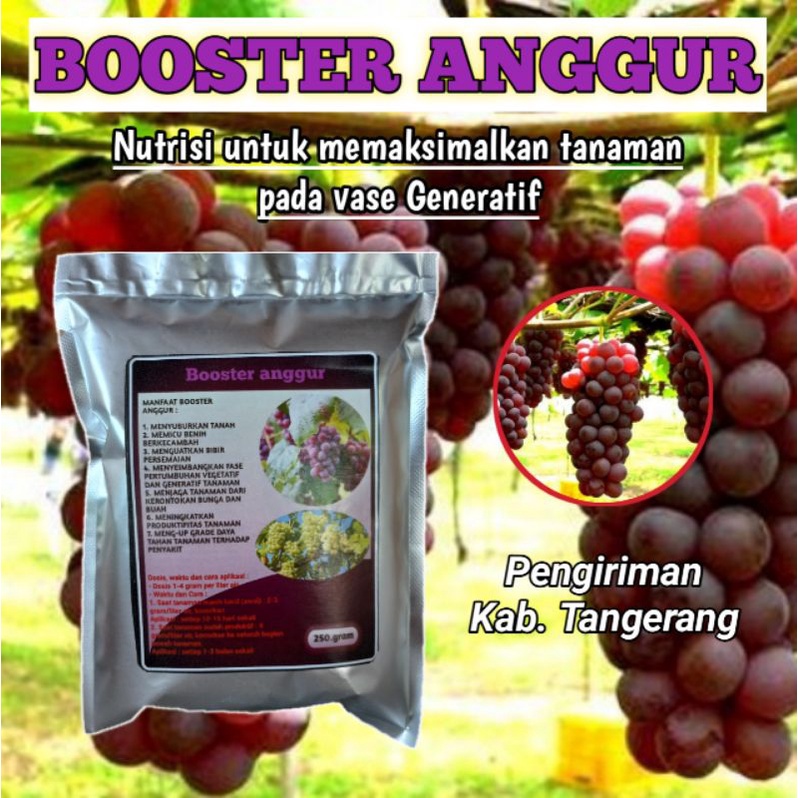 Jual Pupuk booster anggur perangsang bunga dan pelebat buah anti rontok ...