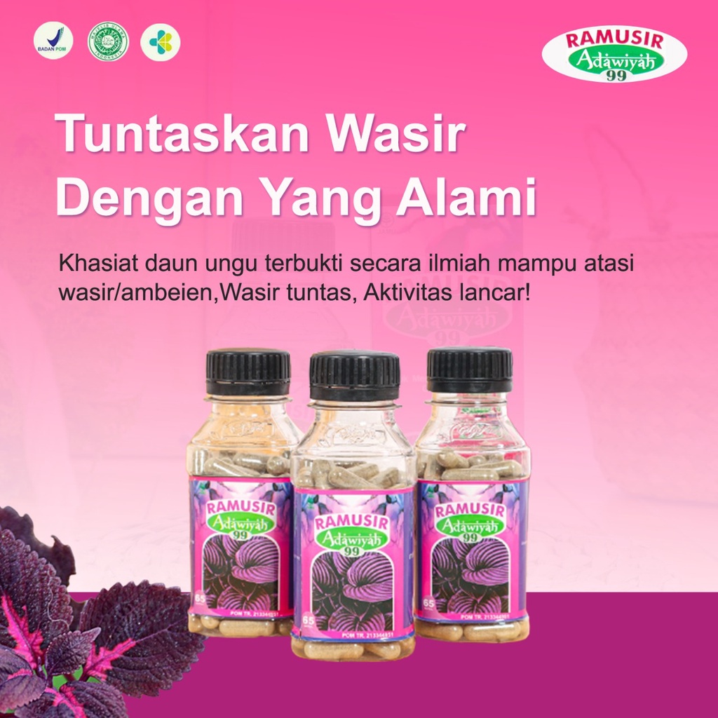 Jual KAPSUL RAMUSIR ADAWIYAH 99 MENGATASI WASIR DAN AMBEIEN ISI 65 ...