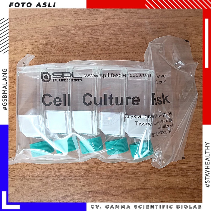 Jual Tissue Culture Flask w/ Filter Cap, 25cm2, PS Sterile ,5pcs/PK