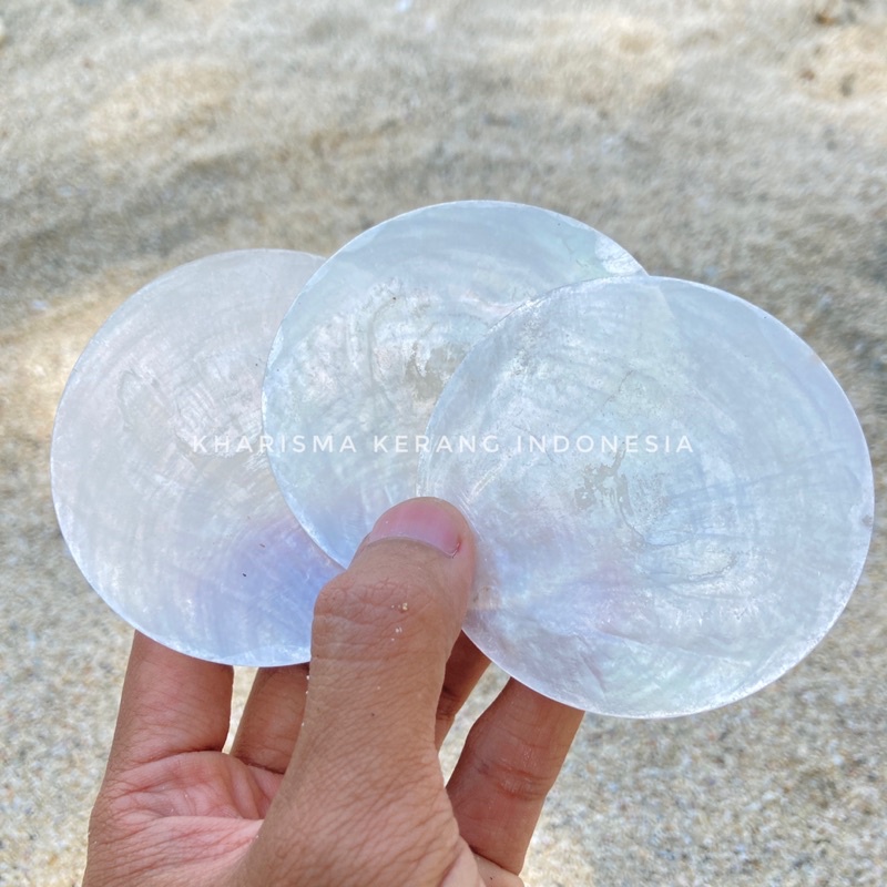 Jual Capiz Shell Round Shape 7cm Cangkang Kerang Capiz Capiz Shell ...