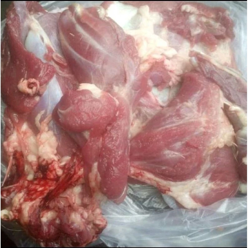 Daging Kambing Muda Segar 500g Dan 1kg