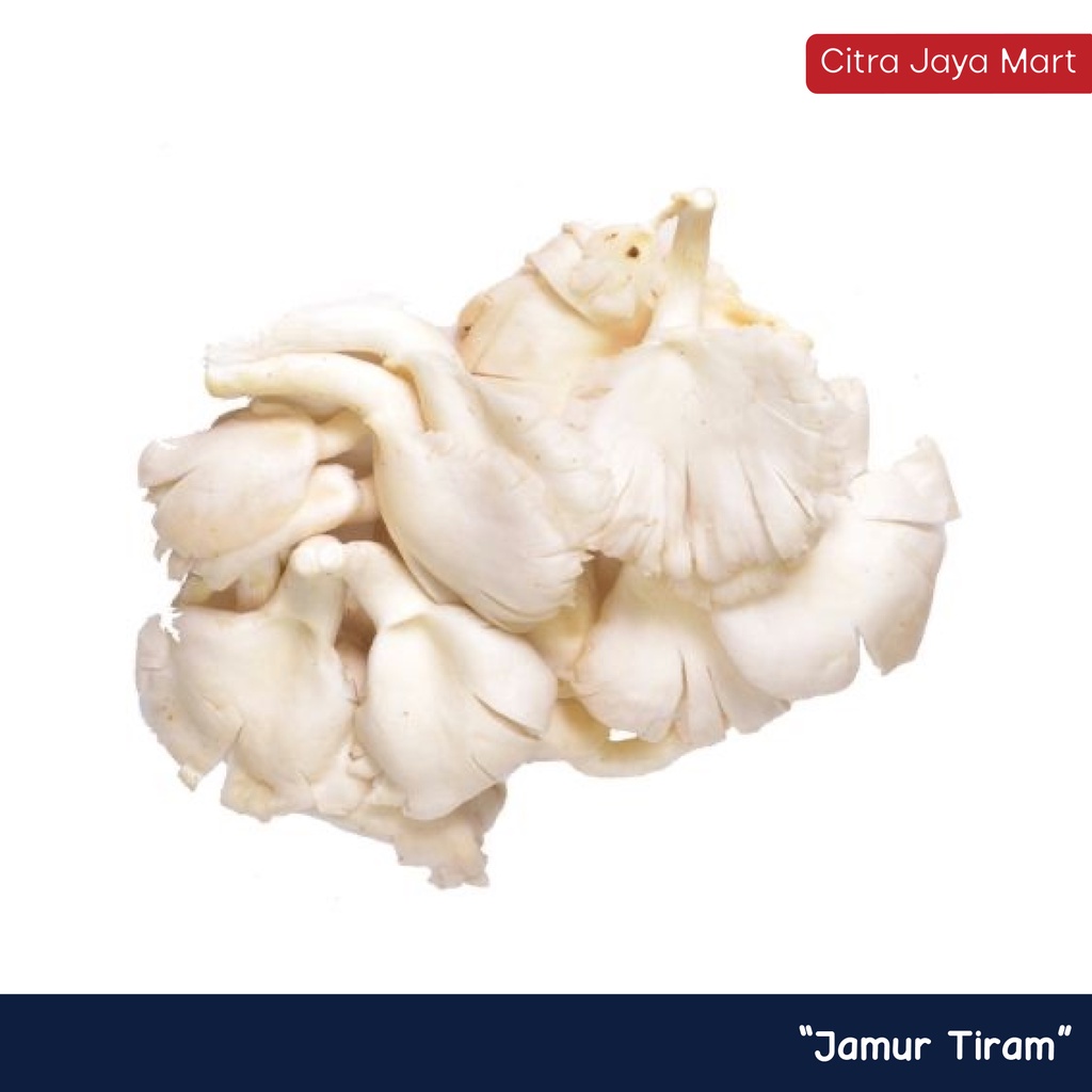 Jual Jamur Tiram 200g Sayur & Buah Segar (Khusus Jogja) Shopee Indonesia