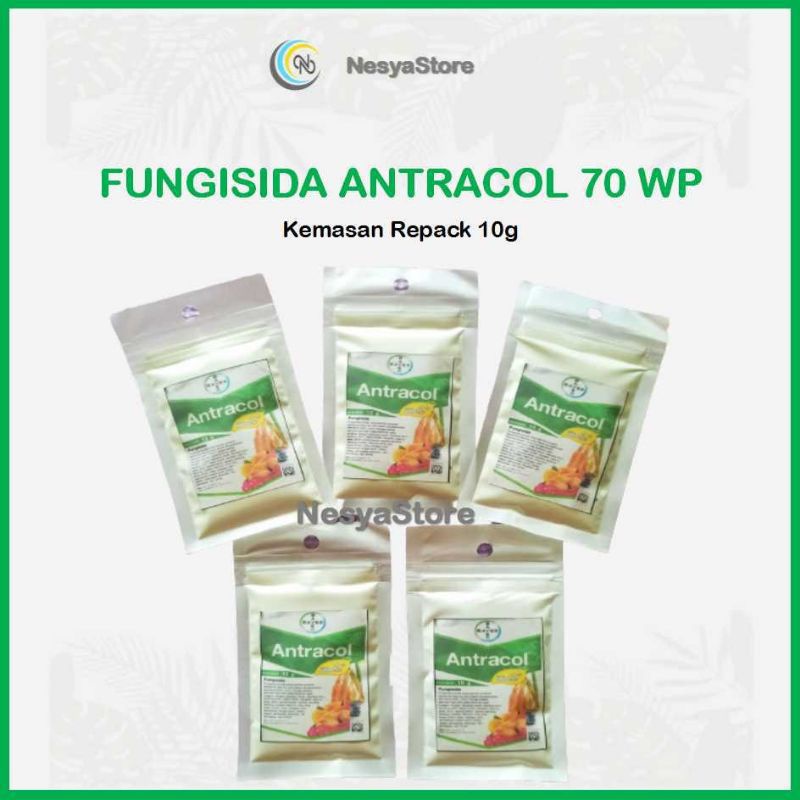 Jual Fungisida Antracol Wp Original Obat Anti Jamur Untuk Tanaman