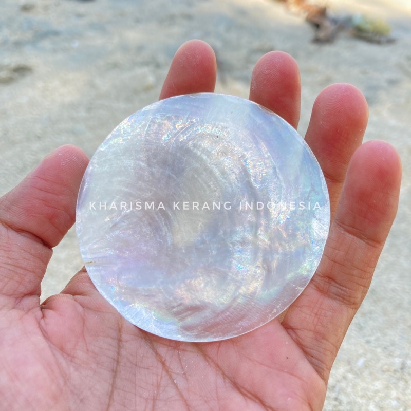 Jual Capiz Shell Round Shape 7cm Cangkang Kerang Capiz Capiz Shell ...