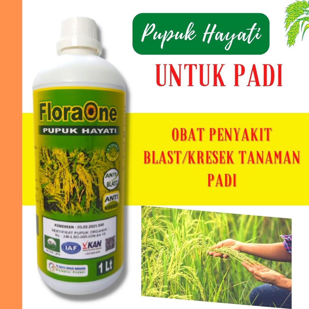 Jual Pupuk Floraone Untuk Padi 1 Liter Pupuk Padi Yang Bagus Pupuk Padi Banting Pupuk Cair 8054