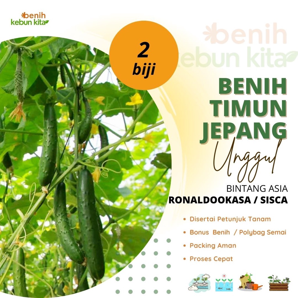 Jual Benih Timun Jepang Kyuri Bibit Tanaman Sayur Sayuran Hidroponik Shopee Indonesia 