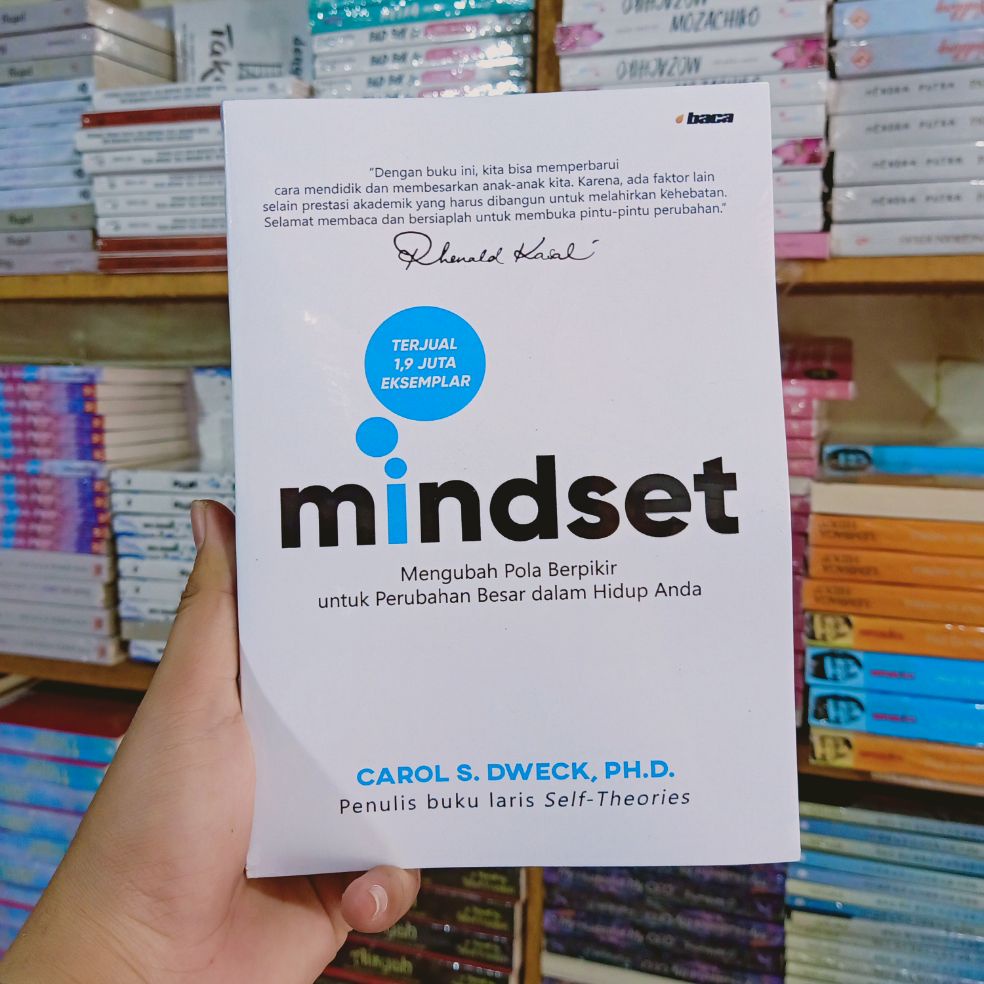 Jual BUKU MOTIVASI MINDSET MENGUBAH POLA BERFIKIR UNTUK PERUBAHAN BESAR ...