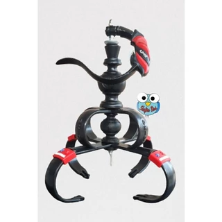 Oriq eshakda katta sik