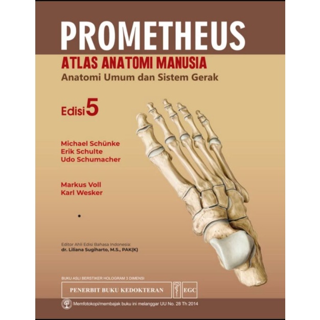 Jual Prometheus Atlas Anatomi Manusia Edisi 5 (SET 3 Buku) | Shopee ...