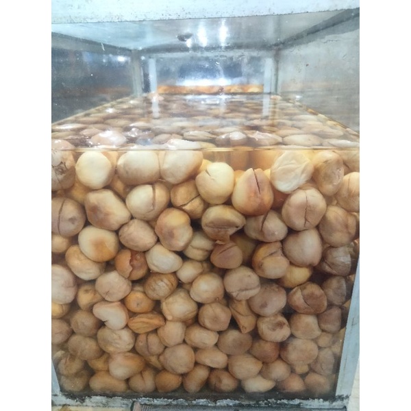 Jual atapson pokfut / kecil 500g | Shopee Indonesia