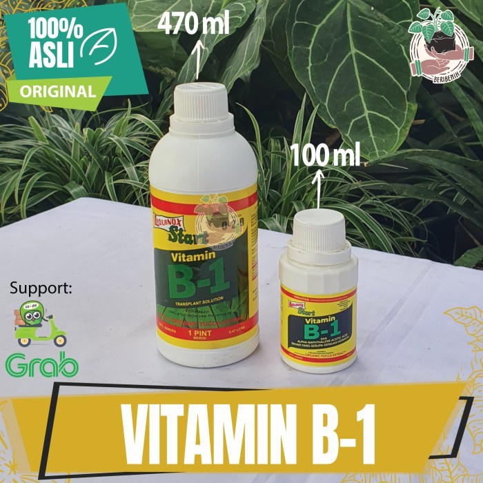 Jual PUPUK TANAMAN VITAMIN B1 LIQUINOX STAR PENGUAT AKAR ANTI STRES ...