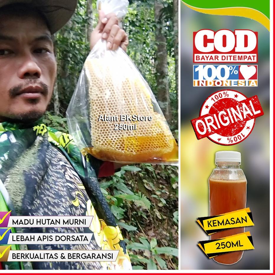 Jual CODEh H T BISA COD Madu Hutan Asli Murni BERGARANSI Jenis Lebah Apis Dorsata Ml