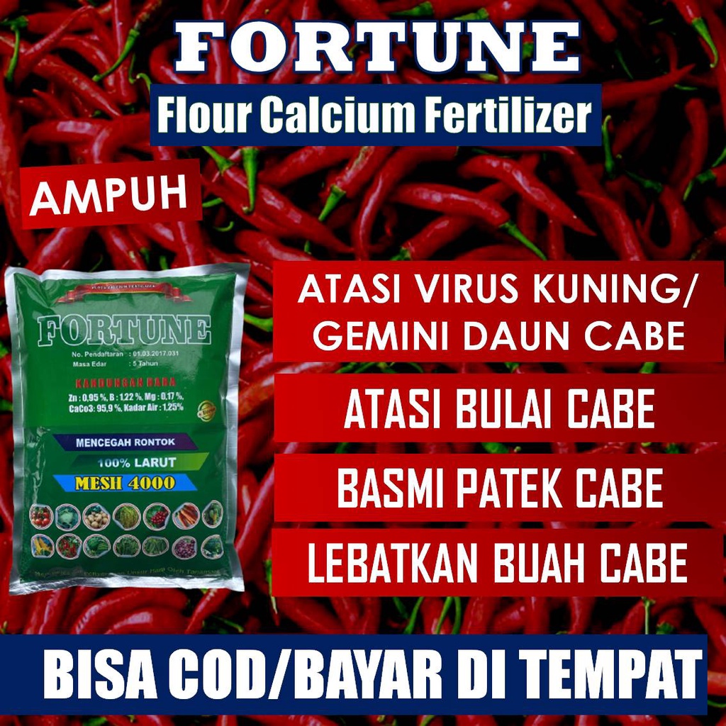 Jual Promo Pupuk Kalsium Fortune Kg Obat Busuk Buah Cabe Kriting