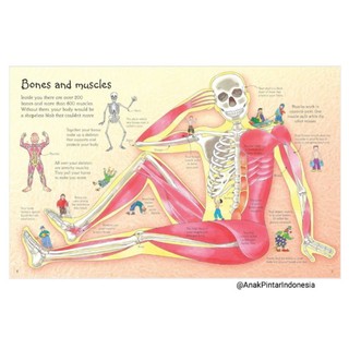 Jual USBORNE SEE INSIDE YOUR BODY ( E2-008 ) | Shopee Indonesia