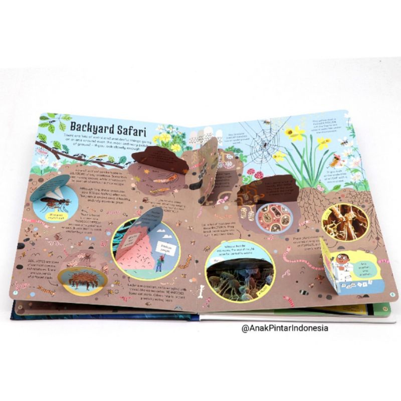 Jual AN USBORNE FLAP BOOK SEE INSIDE THE MICROSCOPIC WORLD | Shopee ...
