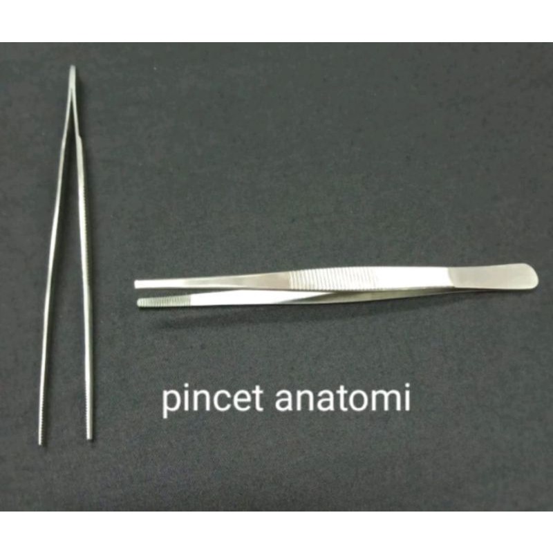 Jual Pinset Anatomi Medis 14 cm | Shopee Indonesia