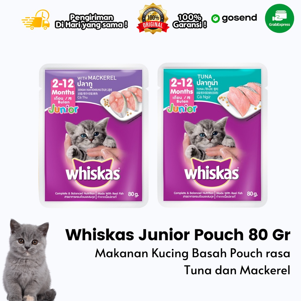 Jual Whiskas Junior Makanan Kucing Basah Tuna Mackerel 85gr Shopee