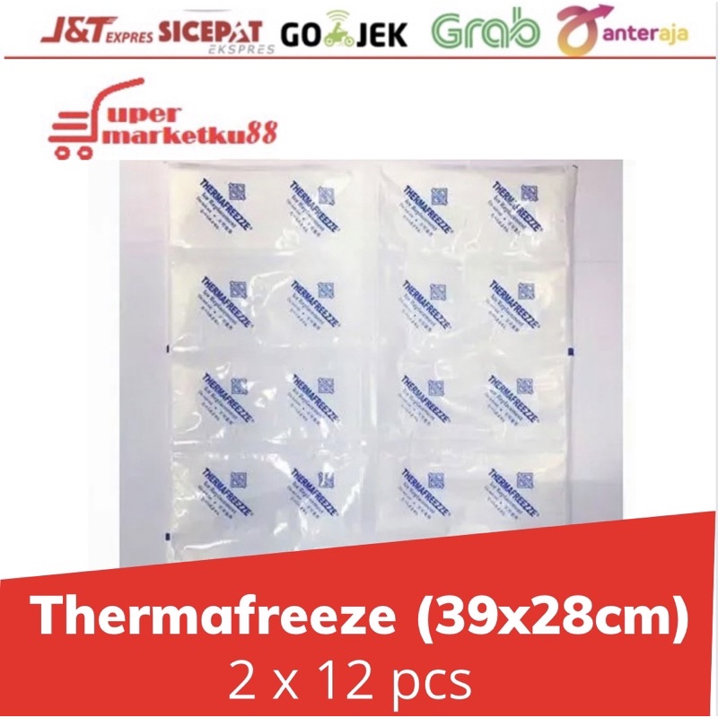 Jual THERMAFREEZE LEMBARAN DRY ICE GEL PACK ASI PENGGANTI ES BATU ...