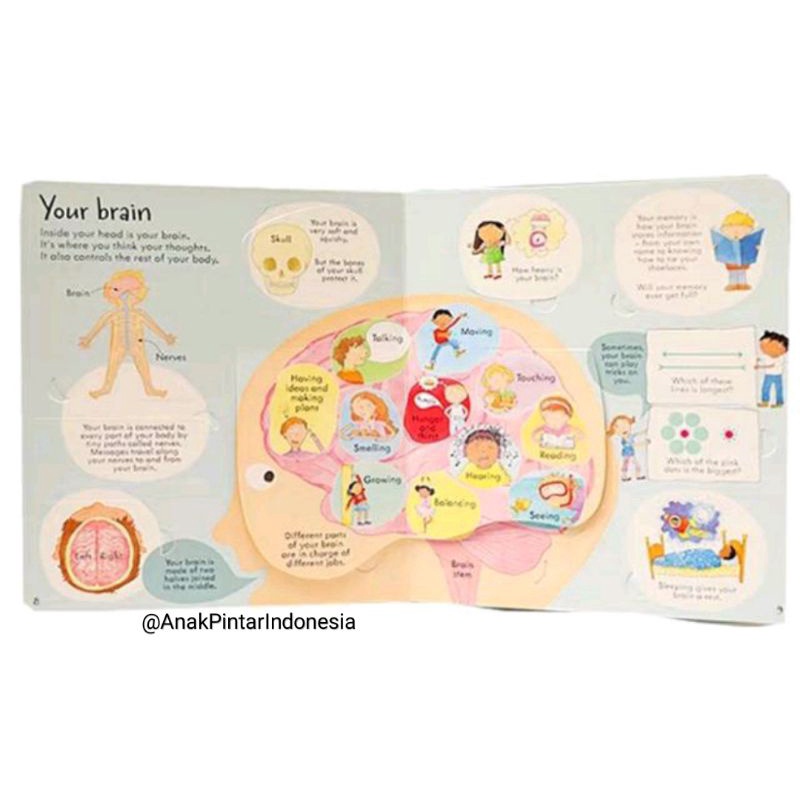 Jual USBORNE LOOK INSIDE YOUR BODY ( E1-014 ) | Shopee Indonesia