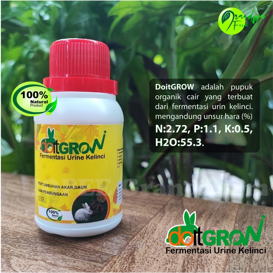 Pupuk Organik Cair (POC) Fermentasi Urin Kelinci, Nutrisi dan Vitamin Lengkap untuk Tanaman Hias