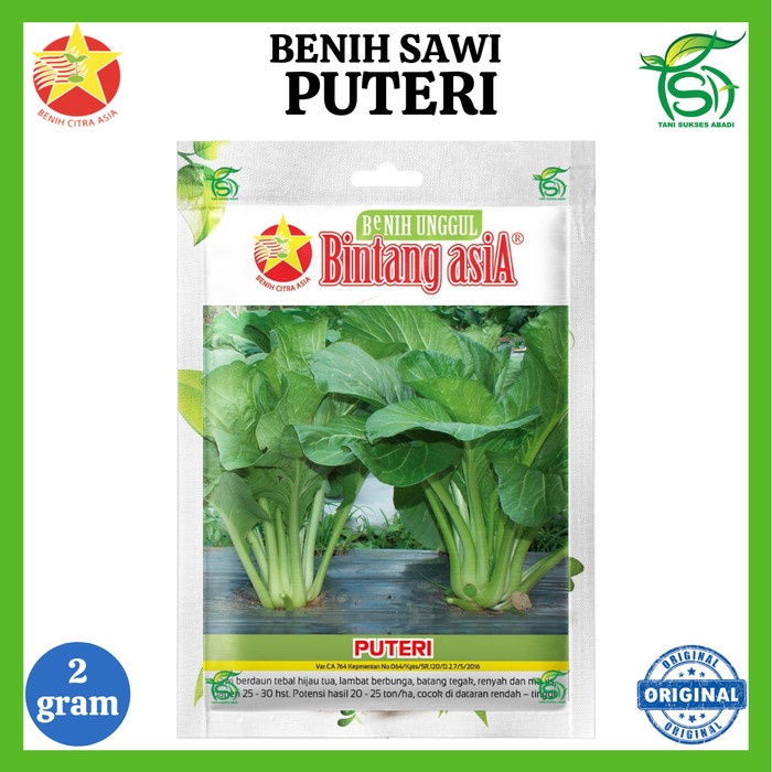 Jual Benih Sawi Manis Puteri 2 Gram Bibit Caisim Small Pouch Bintang